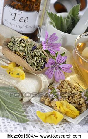 Cough-breast tea, marshmallow leaves (Althaea officinalis) marshmallow root, liquorice root (Glycyrrhiza glabra), thyme, lungwort, star anise fruit, mallow blossoms, royal candle blossoms (Althaeae folium) (Althaeae radix) (Glycyrrhizae radix), Th View Large Photo Image Picture - Cough-breast tea, marshmallow leaves (Althaea officinalis) marshmallow root, liquorice root (Glycyrrhiza glabra), thyme, lungwort, star anise fruit, mallow blossoms, royal candle blossoms (Althaeae folium) (Althaeae radix) (Glycyrrhizae radix), Th. Fotosearch