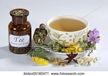 Cough-breast tea, marshmallow leaves (Althaea officinalis) marshmallow root, liquorice root (Glycyrrhiza glabra), thyme, lungwort, star anise fruit, mallow blossoms, royal candle blossoms (Althaeae folium) (Althaeae radix) (Glycyrrhizae radix), Th View Large Photo Image Stock Image - Cough-breast tea, marshmallow leaves (Althaea officinalis) marshmallow root, liquorice root (Glycyrrhiza glabra), thyme, lungwort, star anise fruit, mallow blossoms, royal candle blossoms (Althaeae folium) (Althaeae radix) (Glycyrrhizae radix), Th. Fotosearch