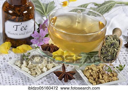 Stock Image - Cough-breast tea, marshmallow leaves (Althaea officinalis) marshmallow root, liquorice root (Glycyrrhiza glabra), thyme, lungwort, star anise fruit, mallow blossoms, royal candle blossoms (Althaeae folium) (Althaeae radix) (Glycyrrhizae radix), Th. Fotosearch