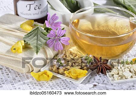 Cough-breast tea, marshmallow leaves (Althaea officinalis) marshmallow root, liquorice root (Glycyrrhiza glabra), thyme, lungwort, star anise fruit, mallow blossoms, royal candle blossoms (Althaeae folium) (Althaeae radix) (Glycyrrhizae radix), Th View Large Photo Image Stock Image - Cough-breast tea, marshmallow leaves (Althaea officinalis) marshmallow root, liquorice root (Glycyrrhiza glabra), thyme, lungwort, star anise fruit, mallow blossoms, royal candle blossoms (Althaeae folium) (Althaeae radix) (Glycyrrhizae radix), Th. Fotosearch