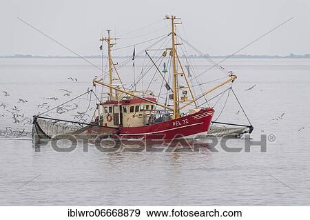 Crab cutter in the Wadden Sea, Wadden Sea National Park, North Sea, North Frisia, Schleswig-Holstein, Germany, Europe View Large Photo Image Stock Photo - Crab cutter in the Wadden Sea, Wadden Sea National Park, North Sea, North Frisia, Schleswig-Holstein, Germany, Europe. Fotosearch