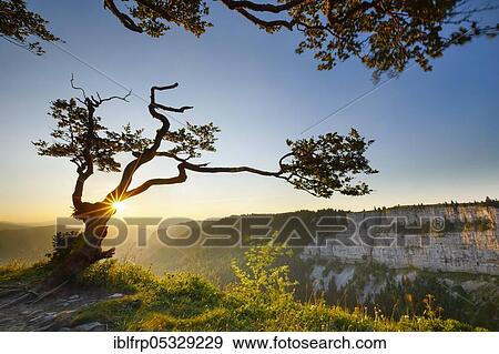 Creux du Van, Neuchâtel, Neuchâtel Jura, Switzerland, Europe View Large Photo Image Stock Photo - Creux du Van, Neuchâtel, Neuchâtel Jura, Switzerland, Europe. Fotosearch