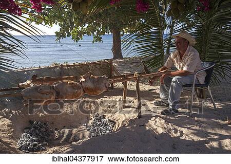 Cuban man grilling turkeys and suckling pig at the beach of Playa Ancon, near Trinidad, Sancti Spiritus Province, Cuba, Central America View Large Photo Image Stock Photo - Cuban man grilling turkeys and suckling pig at the beach of Playa Ancon, near Trinidad, Sancti Spiritus Province, Cuba, Central America. Fotosearch
