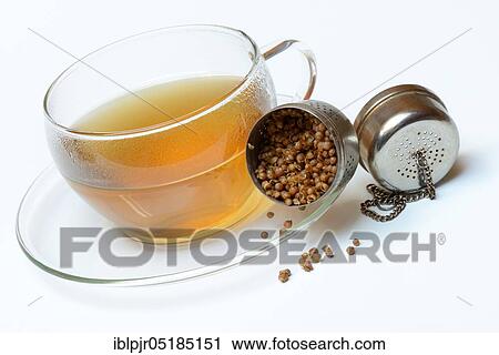 Cup coriander tea and seeds in tea-egg, coriander tea View Large Photo Image Stock Image - Cup coriander tea and seeds in tea-egg, coriander tea. Fotosearch