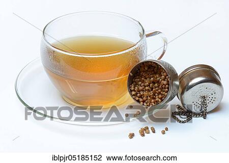 Cup coriander tea and seeds in tea-egg, coriander tea View Large Photo Image Stock Image - Cup coriander tea and seeds in tea-egg, coriander tea. Fotosearch