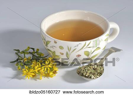 Stock Photo - Cup goldenrod tea (Solidago virgaurea). Fotosearch