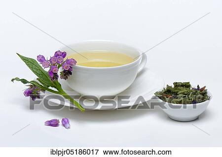 Stock Photo - Cup of comfrey tea, common comfrey, comfrey tea. Fotosearch