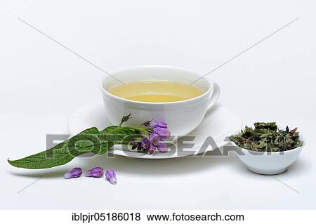 Cup of comfrey tea, common comfrey, comfrey tea View Large Photo Image Stock Photo - Cup of comfrey tea, common comfrey, comfrey tea. Fotosearch