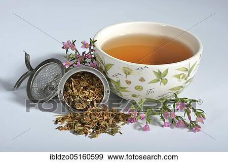 Stock Photo - Cup of tea, Centaurium pulchellumtea. Fotosearch