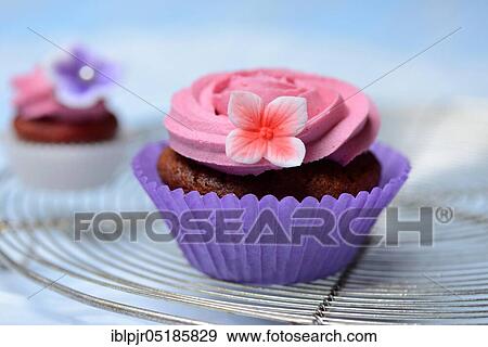 Stock Photo - Cupcakes. Fotosearch