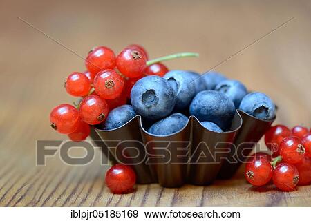 Stock Photo - Currants and blueberries in baking tin, cultivated blueberry. Fotosearch