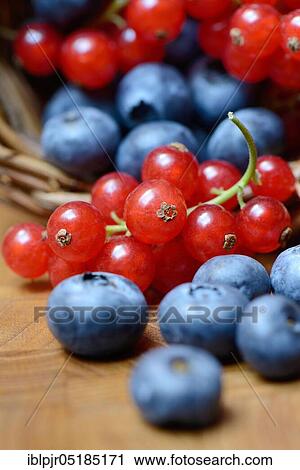 Currants and blueberries in basket, cultivated blueberry View Large Photo Image Stock Image - Currants and blueberries in basket, cultivated blueberry. Fotosearch