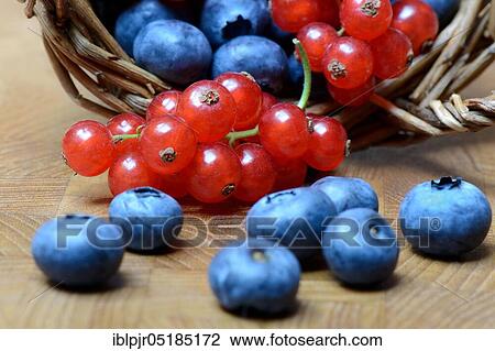 Currants and blueberries in basket, cultivated blueberry View Large Photo Image Stock Image - Currants and blueberries in basket, cultivated blueberry. Fotosearch