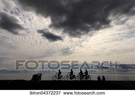 Cyclists in Oudeschild Texel Island, Province of North Holland, Holland, The Netherlands, Europe View Large Photo Image Stock Photo - Cyclists in Oudeschild Texel Island, Province of North Holland, Holland, The Netherlands, Europe. Fotosearch