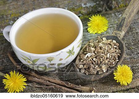 Dandelion root tea (Taraxacum officinale) Dandelion root tea View Large Photo Image Stock Photo - Dandelion root tea (Taraxacum officinale) Dandelion root tea. Fotosearch