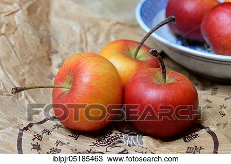 Decorative apples ( Malus) View Large Photo Image Stock Image - Decorative apples ( Malus). Fotosearch