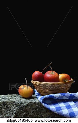 Stock Photography - Decorative apples ( Malus). Fotosearch