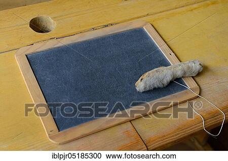 Stock Image - Desk with slate board and rabbit's foot, Scandinavia, blackboard, cat's foot, open-air museum Linköping in Sweden. Fotosearch