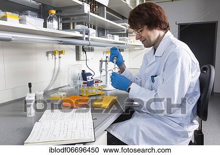 Doctoral student of the Faculty of Biology at the University of Duisburg-Essen during his research work pipetting, Essen, North Rhine-Westphalia, Germany, Europe View Large Photo Image Stock Image - Doctoral student of the Faculty of Biology at the University of Duisburg-Essen during his research work pipetting, Essen, North Rhine-Westphalia, Germany, Europe. Fotosearch
