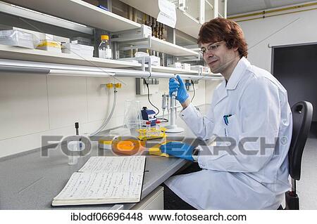 Doctoral student of the Faculty of Biology at the University of Duisburg-Essen during his research work pipetting, Essen, North Rhine-Westphalia, Germany, Europe View Large Photo Image Stock Photo - Doctoral student of the Faculty of Biology at the University of Duisburg-Essen during his research work pipetting, Essen, North Rhine-Westphalia, Germany, Europe. Fotosearch