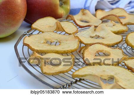 Dried apple slices and apples, apple slice, apple ring, apple rings View Large Photo Image Stock Image - Dried apple slices and apples, apple slice, apple ring, apple rings. Fotosearch