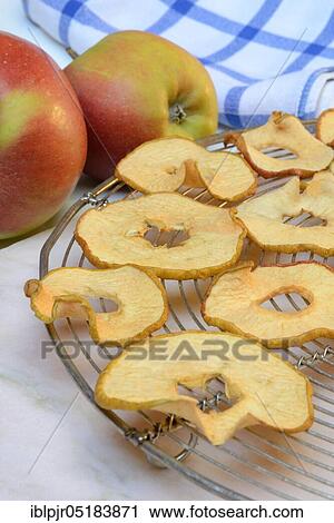 Dried apple slices and apples, apple slice, apple ring, apple rings View Large Photo Image Stock Image - Dried apple slices and apples, apple slice, apple ring, apple rings. Fotosearch