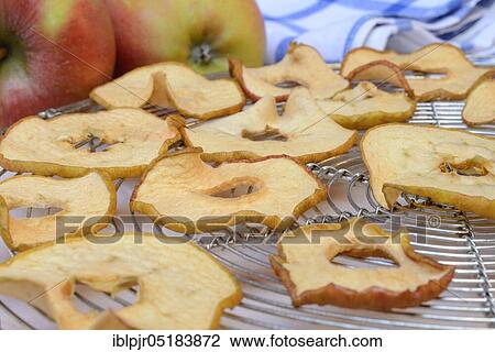 Dried apple slices and apples, apple slice, apple ring, apple rings View Large Photo Image Stock Image - Dried apple slices and apples, apple slice, apple ring, apple rings. Fotosearch