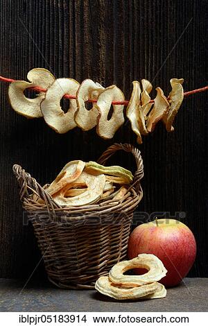 Picture - Dried apple slices, dried apple rings strung on string, Gala variety. Fotosearch