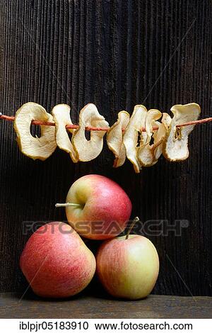 Dried apple slices, dried apple rings strung on string and apples, variety Gala View Large Photo Image Stock Image - Dried apple slices, dried apple rings strung on string and apples, variety Gala. Fotosearch