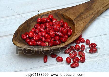 Dried barberry berries (Berberis vulgaris) in wooden spoon View Large Photo Image Stock Photo - Dried barberry berries (Berberis vulgaris) in wooden spoon. Fotosearch