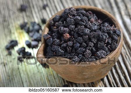 Dried blueberries (Vaccinium myrtillus) View Large Photo Image Stock Photo - Dried blueberries (Vaccinium myrtillus). Fotosearch