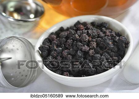Dried blueberries (Vaccinium myrtillus) View Large Photo Image Stock Photo - Dried blueberries (Vaccinium myrtillus). Fotosearch