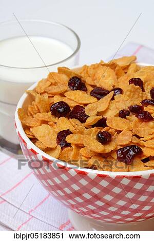 Stock Image - Dried cranberries (Vaccinium macrocarpon) on cornflakes and glass of milk. Fotosearch