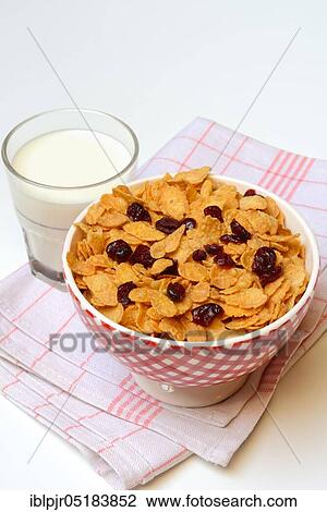 Dried cranberries (Vaccinium macrocarpon) on cornflakes and glass of milk View Large Photo Image Stock Image - Dried cranberries (Vaccinium macrocarpon) on cornflakes and glass of milk. Fotosearch