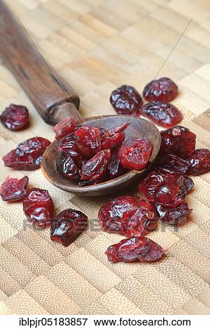 Stock Photo - Dried cranberries (Vaccinium macrocarpon) in wooden trowel. Fotosearch