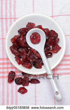 Dried cranberries (Vaccinium macrocarpon) in bowl and spoon View Large Photo Image Stock Photo - Dried cranberries (Vaccinium macrocarpon) in bowl and spoon. Fotosearch