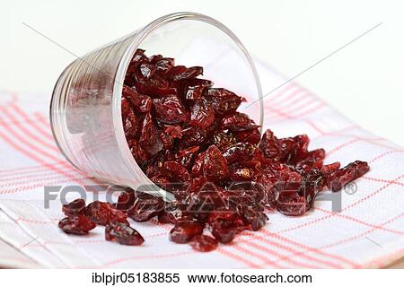 Dried cranberriesin glass (Vaccinium macrocarpon) View Large Photo Image Stock Photography - Dried cranberriesin glass (Vaccinium macrocarpon). Fotosearch