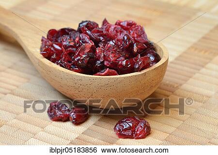 Dried cranberriesin wooden ladle (Vaccinium macrocarpon) View Large Photo Image Stock Photograph - Dried cranberriesin wooden ladle (Vaccinium macrocarpon). Fotosearch