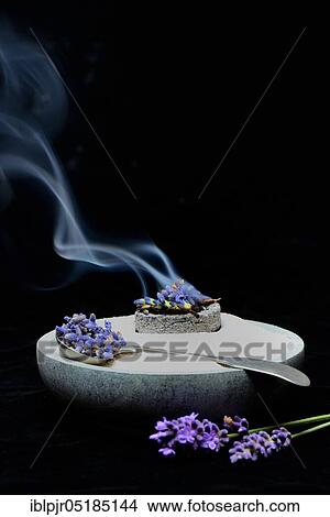 Dried lavender flowers ( Lavandula angustifolia) are burned with the help of smoking coal, araomatherapy, smoking coal View Large Photo Image Picture - Dried lavender flowers ( Lavandula angustifolia) are burned with the help of smoking coal, araomatherapy, smoking coal. Fotosearch