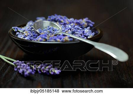 Dried lavender flowers ( Lavandula angustifolia) with spoon View Large Photo Image Stock Photo - Dried lavender flowers ( Lavandula angustifolia) with spoon. Fotosearch