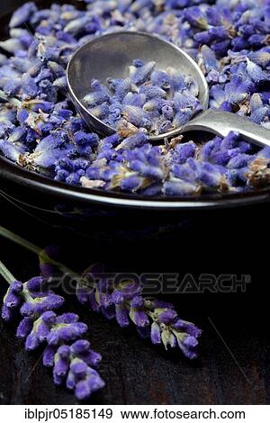 Dried lavender flowers ( Lavandula angustifolia) with spoon View Large Photo Image Stock Photo - Dried lavender flowers ( Lavandula angustifolia) with spoon. Fotosearch