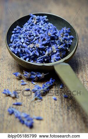 Stock Photo - Dried lavender flowers ( Lavandula angustifolia) in a ladle. Fotosearch