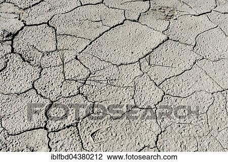 Dried out soil with cracks and a single little gras plant, Tuscany, Italy, Europe View Large Photo Image Stock Image - Dried out soil with cracks and a single little gras plant, Tuscany, Italy, Europe. Fotosearch