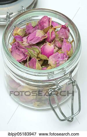 Stock Photo - Dried rose buds, rose petals. Fotosearch