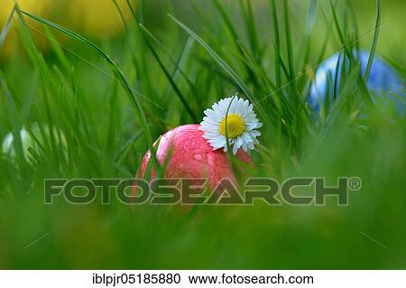 Stock Image - Easter eggs in grass. Fotosearch