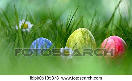 Easter eggs in grass View Large Photo Image Stock Photo - Easter eggs in grass. Fotosearch