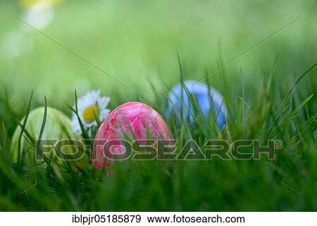Easter eggs in grass View Large Photo Image Stock Photo - Easter eggs in grass. Fotosearch
