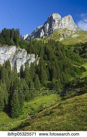 Stock Image - Eggstock, Braunwald, Glarus, Glarus Alps, Switzerland, Europe. Fotosearch