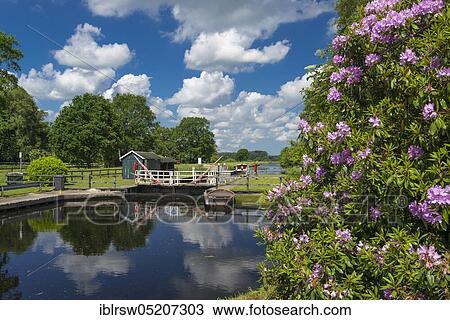 Stock Image - Elisabethfehn Canal, Fehnkanal, Elisabethfehn, Oldenburger Münsterland, Lower Saxony, Germany, Europe. Fotosearch