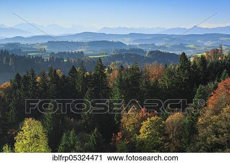 Emmental, Bernese Alps, Switzerland, Europe View Large Photo Image Stock Image - Emmental, Bernese Alps, Switzerland, Europe. Fotosearch